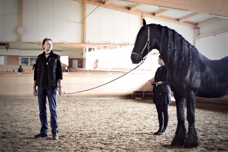 Symbolbild Führungskräftetraining