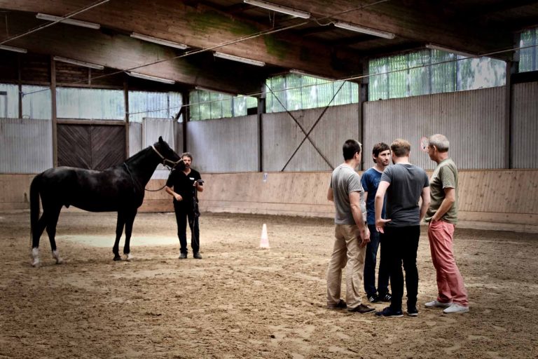 Symbolbild für "Teambuilding mit Pferd"