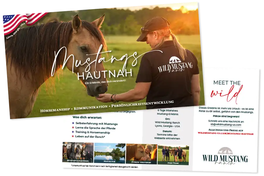 Vorschaubild der Flyer-PDF