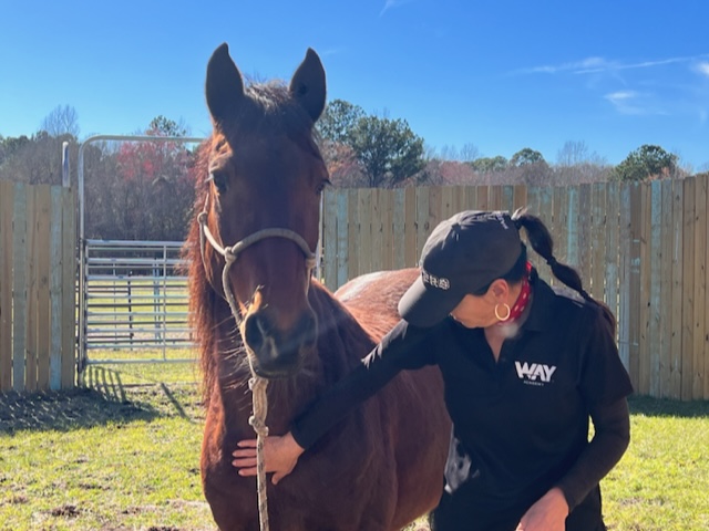 Simone von WayAcademy arbeitet mit einem Mustang.