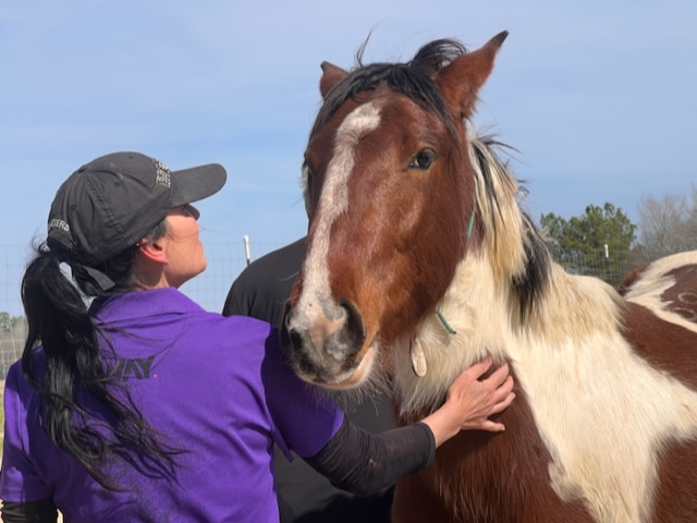 Simone begrüßt einen Mustang.