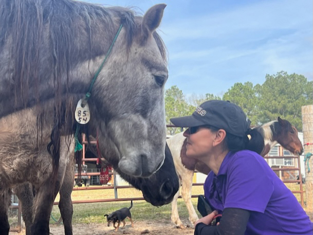 Simone nimmt Kontakt zum Mustang auf.