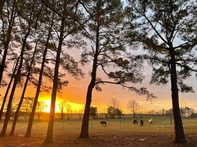 Die Weideflächen der Wild Mustang Ranch im Sonnenuntergang.