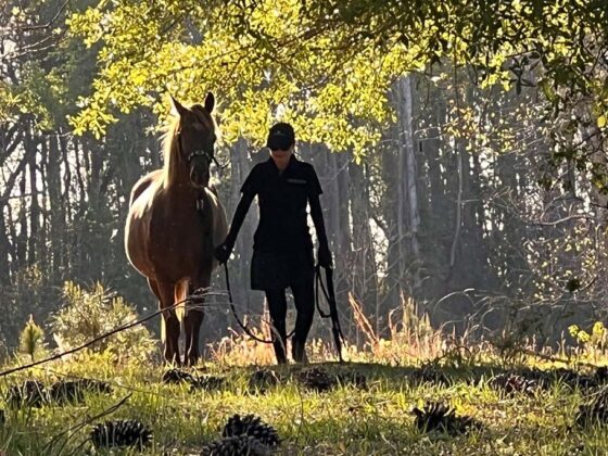 Simone führt einen Mustang im Waldgebiet.