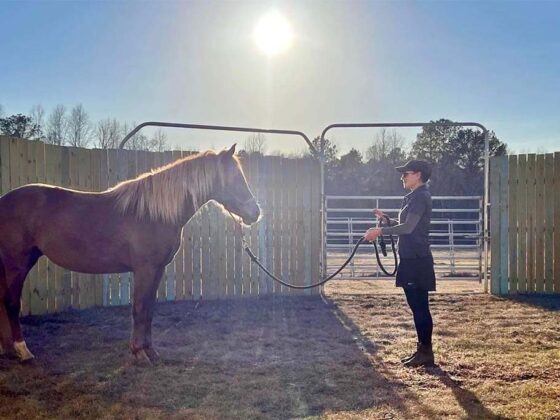Simone arbeitet mit einem Mustang