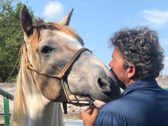 Wolle arbeitet mit einem Mustang.